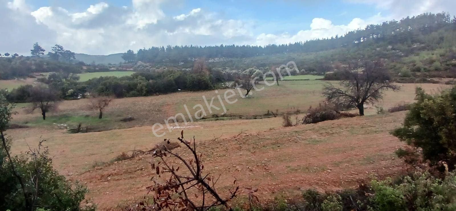 Fesleğende Yerleşime Yakın 2.390 M² Yatırım Fırsatı - Görsel 2