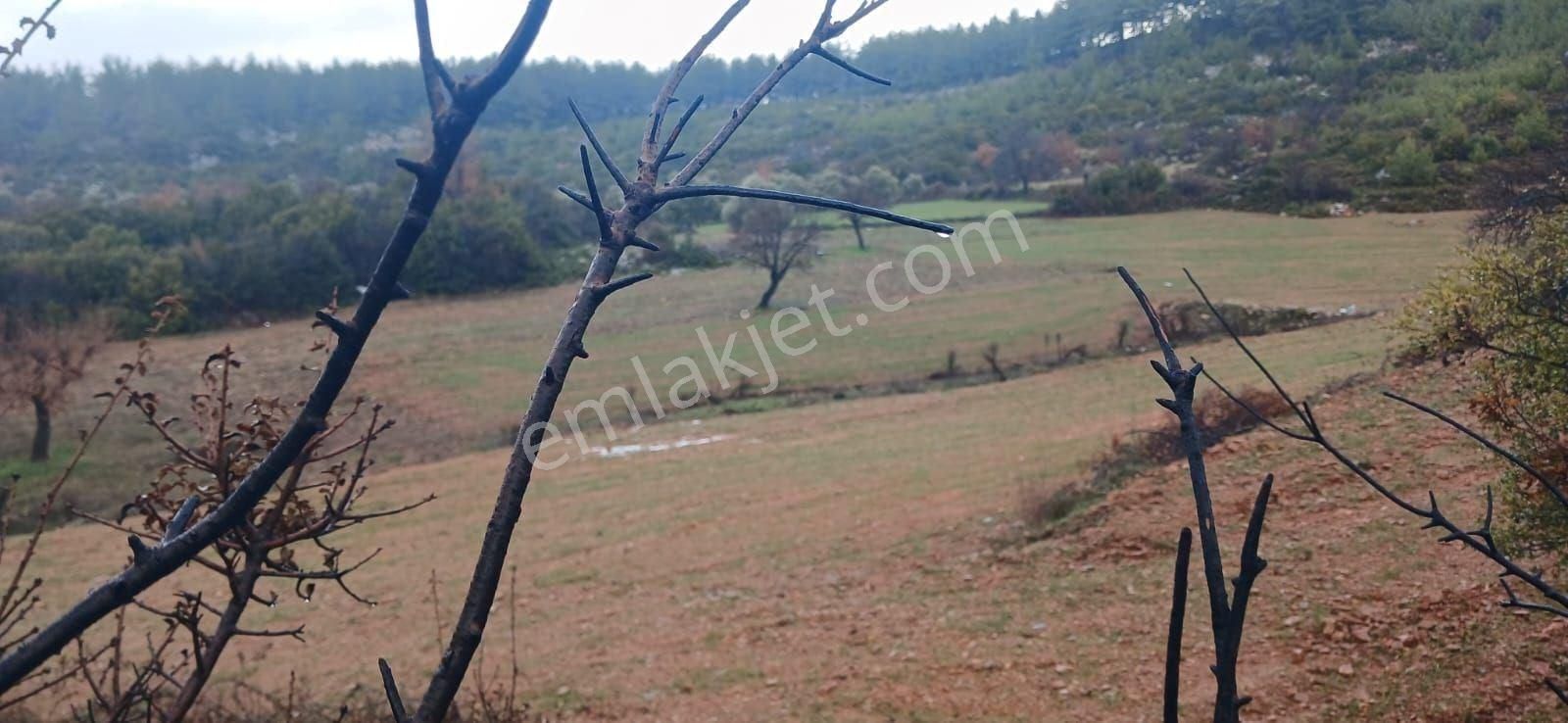 Fesleğende Yerleşime Yakın 2.390 M² Yatırım Fırsatı - Görsel 10