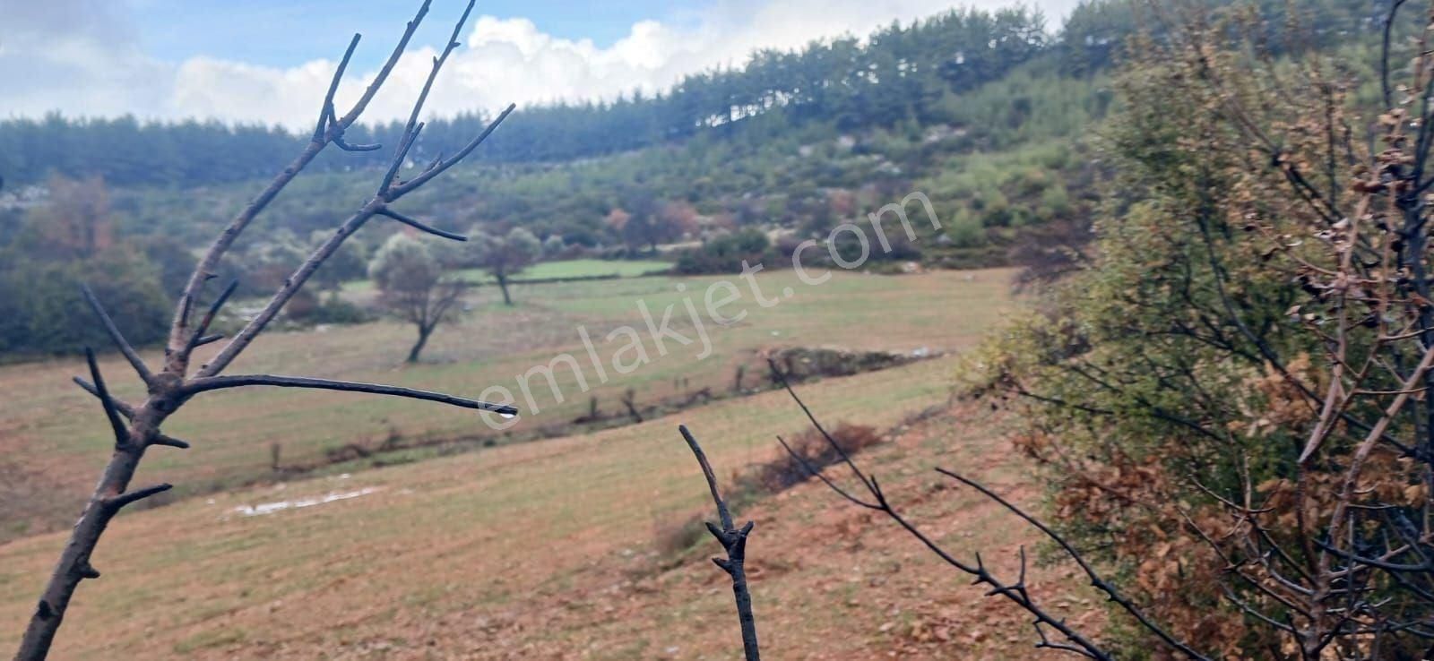 Fesleğende Yerleşime Yakın 2.390 M² Yatırım Fırsatı - Görsel 7