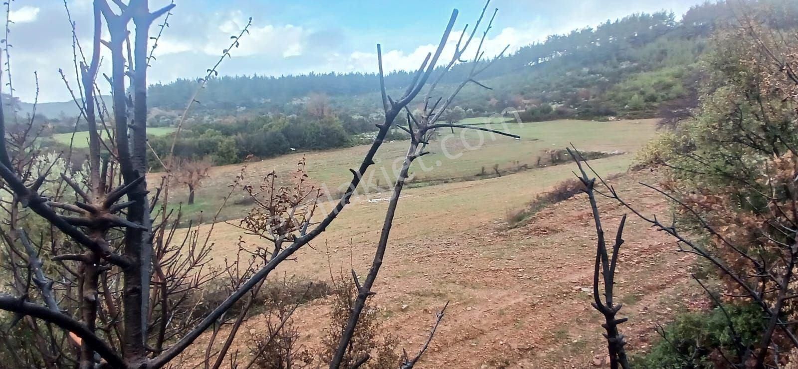 Fesleğende Yerleşime Yakın 2.390 M² Yatırım Fırsatı - Görsel 9