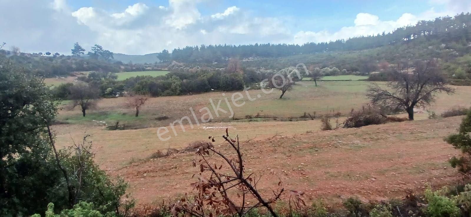 Fesleğende Yerleşime Yakın 2.390 M² Yatırım Fırsatı - Görsel 4