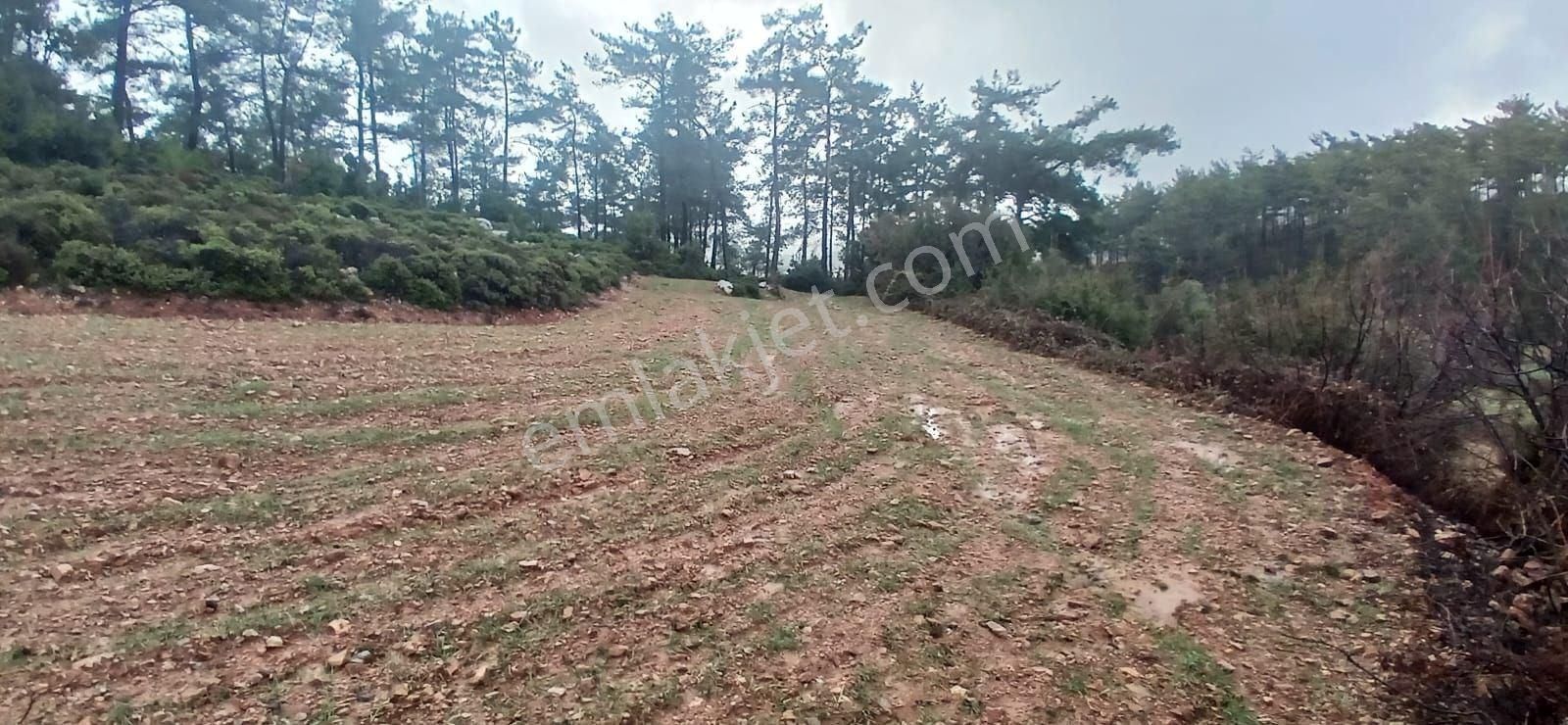 Fesleğende Yerleşime Yakın 2.390 M² Yatırım Fırsatı - Görsel 3