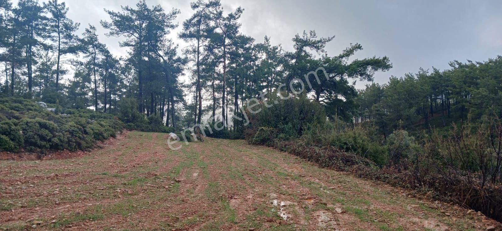 Fesleğende Yerleşime Yakın 2.390 M² Yatırım Fırsatı - Görsel 12