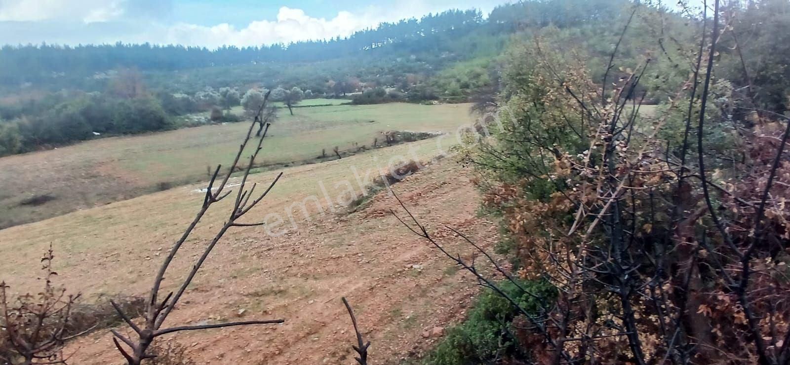 Fesleğende Yerleşime Yakın 2.390 M² Yatırım Fırsatı - Görsel 8