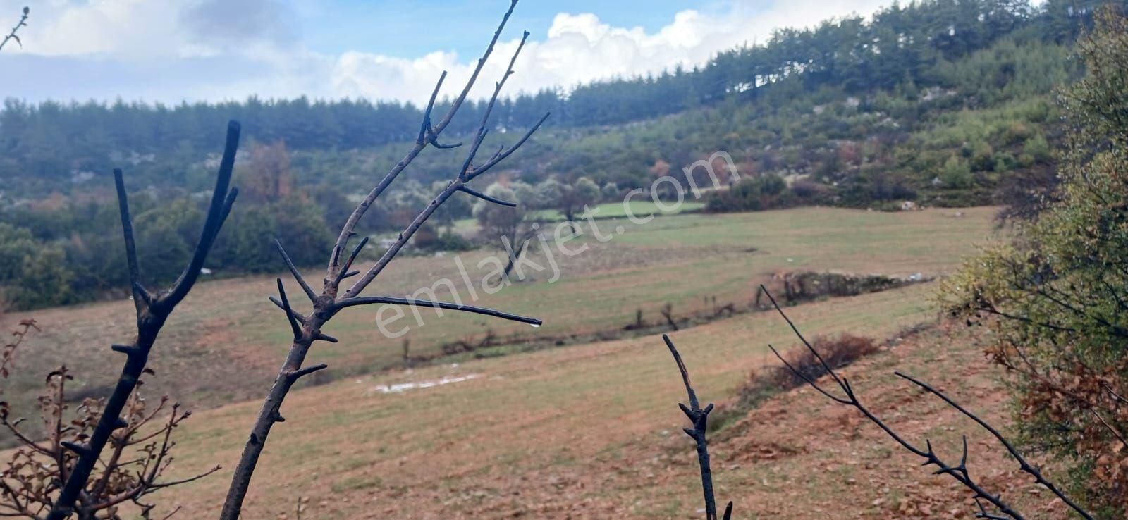 Fesleğende Yerleşime Yakın 2.390 M² Yatırım Fırsatı - Görsel 6