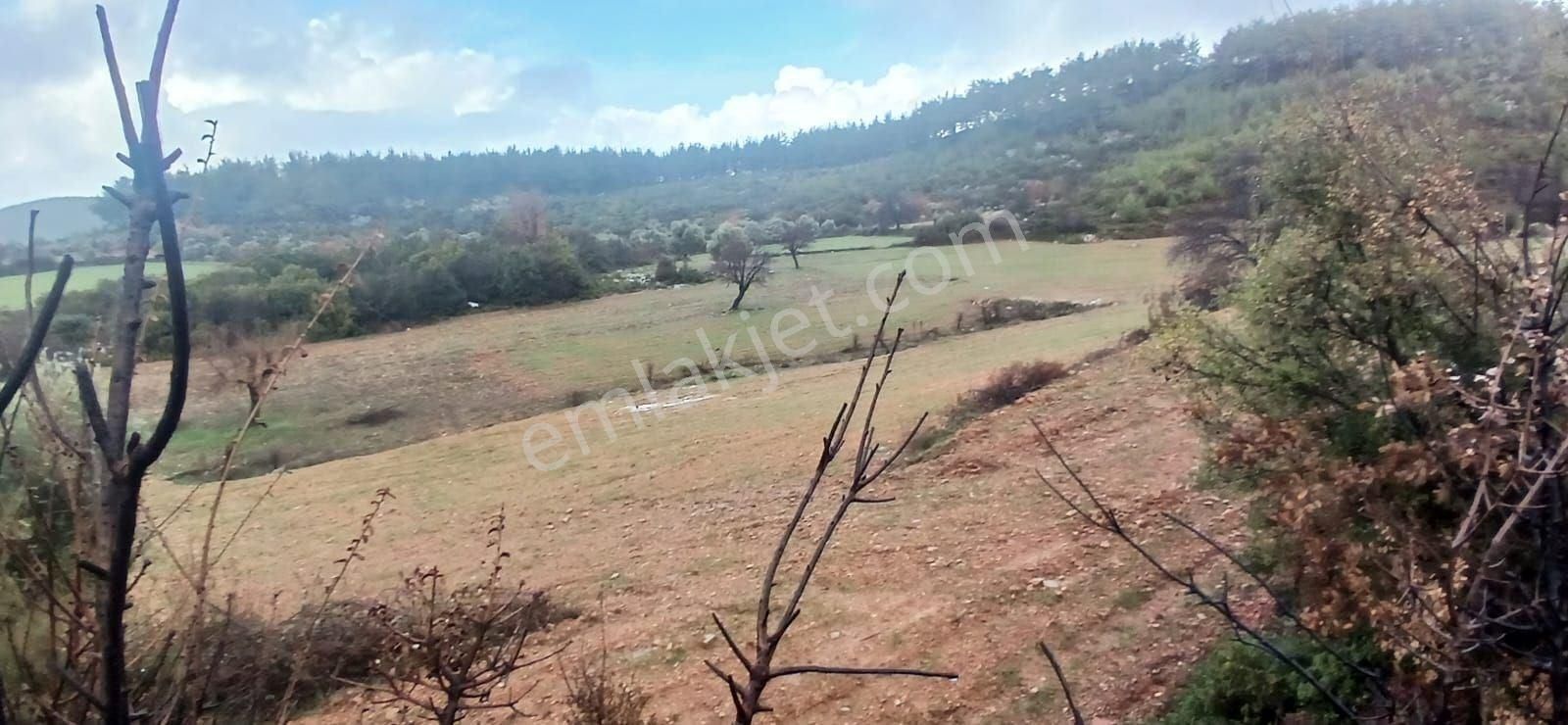 Fesleğende Yerleşime Yakın 2.390 M² Yatırım Fırsatı - Görsel 5