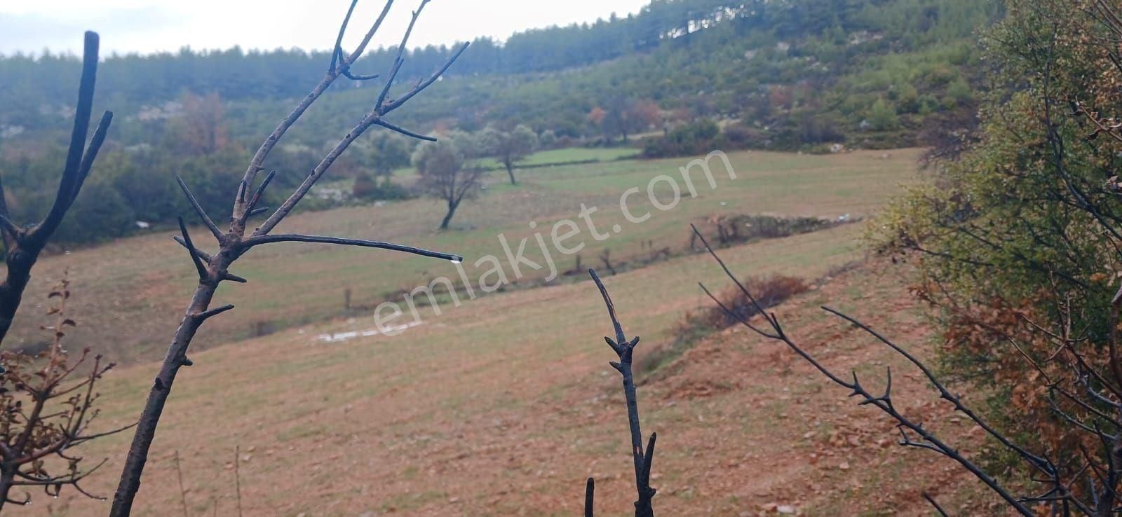 Fesleğende Yerleşime Yakın 2.390 M² Yatırım Fırsatı - Görsel 11