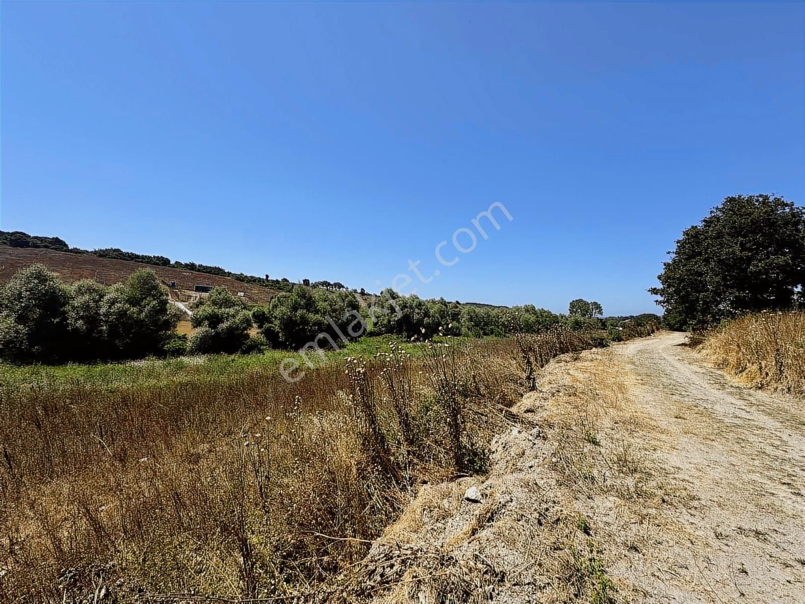 Acilll Satılık Tek Tapu - Görsel 15