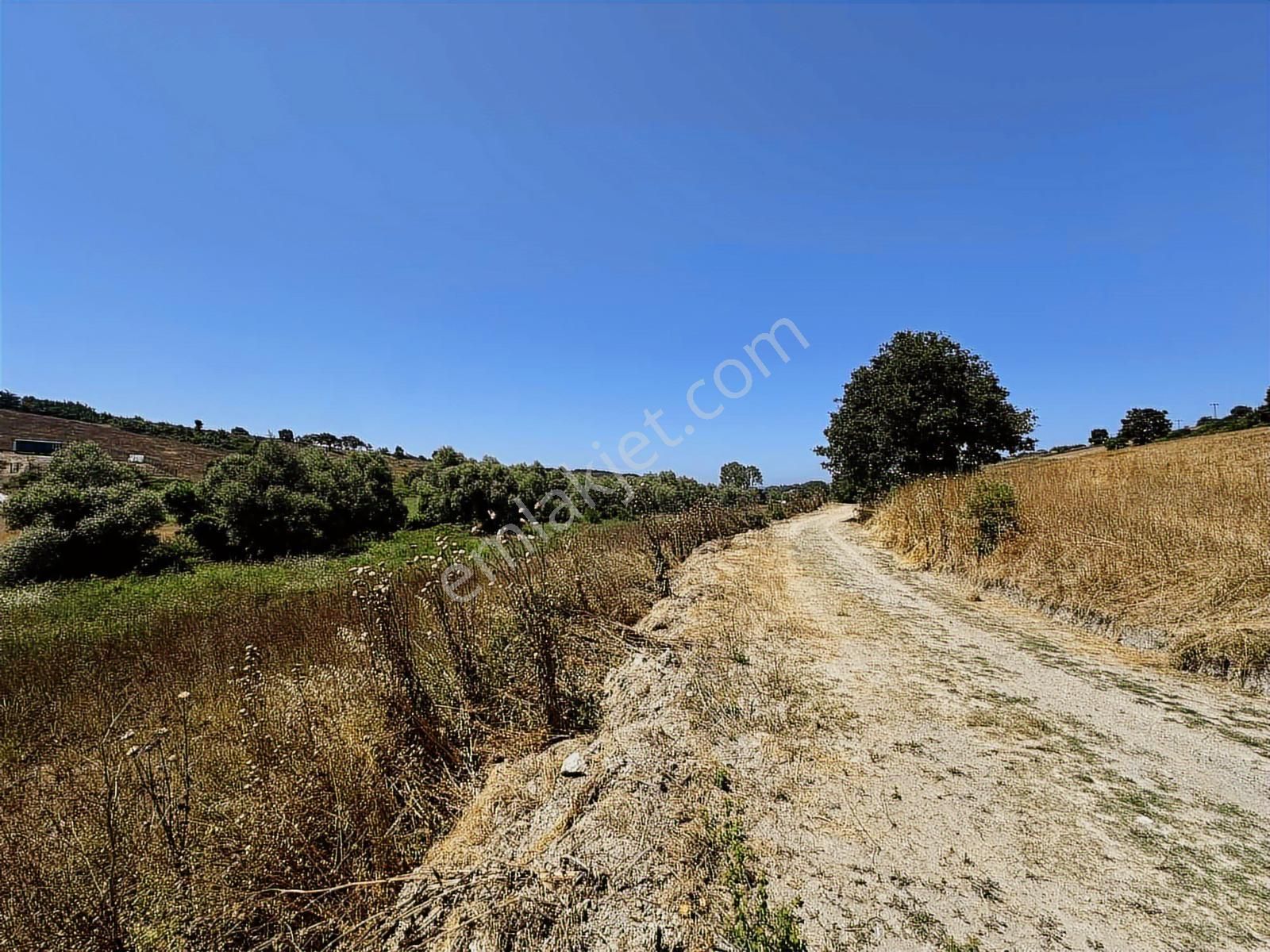 Acilll Satılık Tek Tapu - Görsel 2