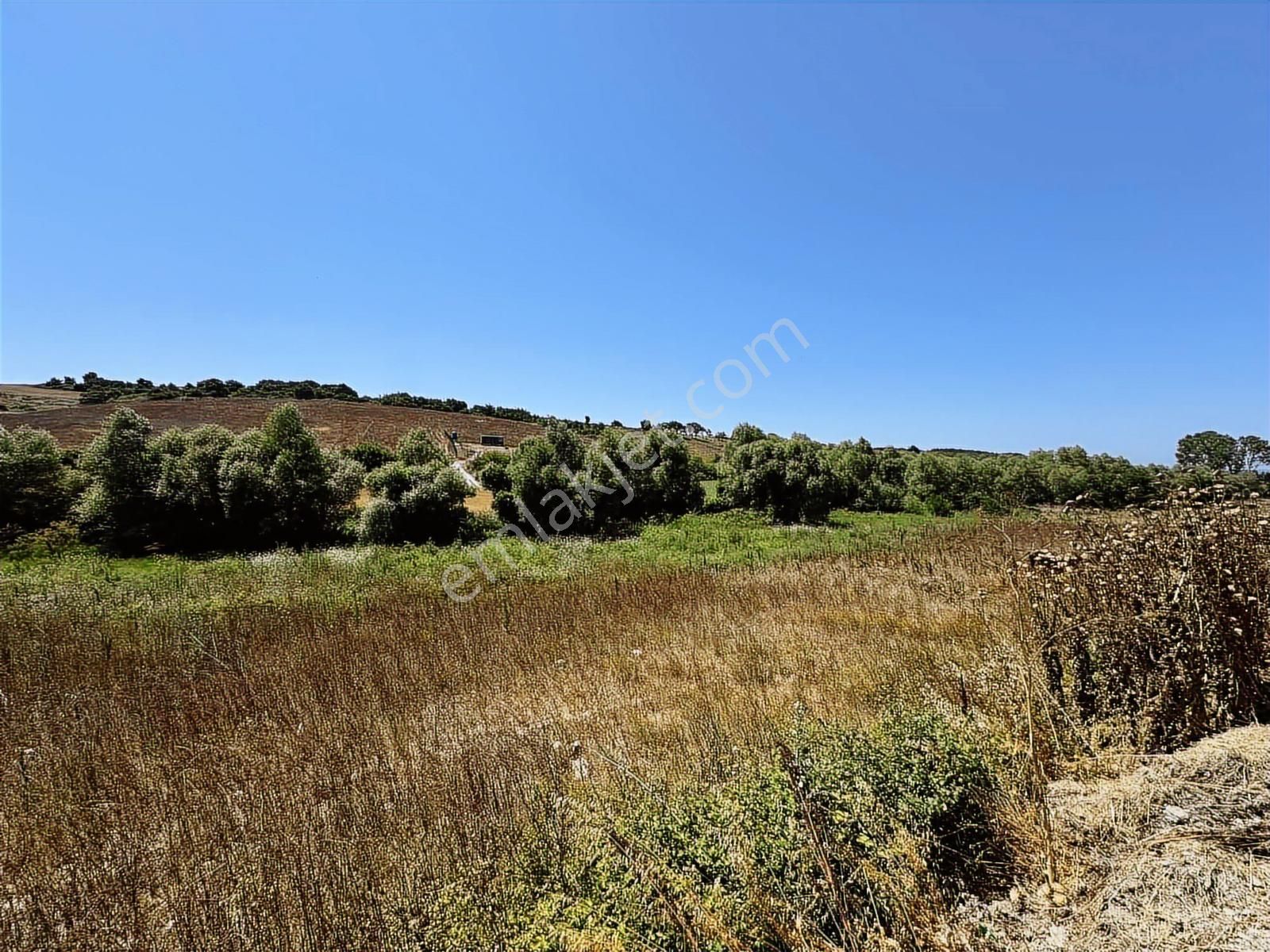 Acilll Satılık Tek Tapu - Görsel 7