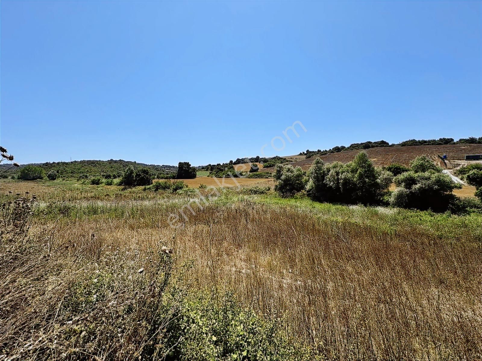 Acilll Satılık Tek Tapu - Görsel 8