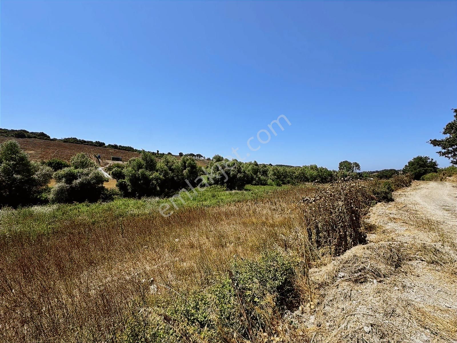 Acilll Satılık Tek Tapu - Görsel 18