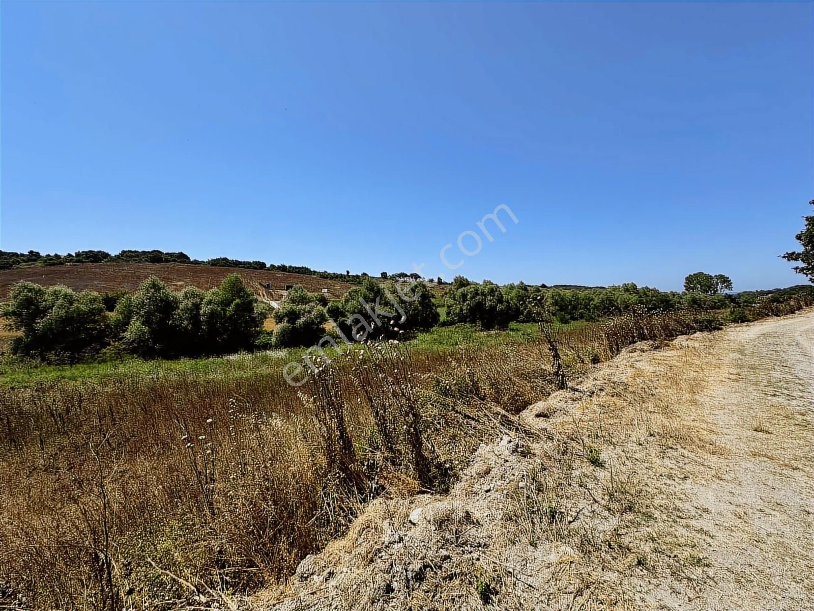 Acilll Satılık Tek Tapu - Görsel 12