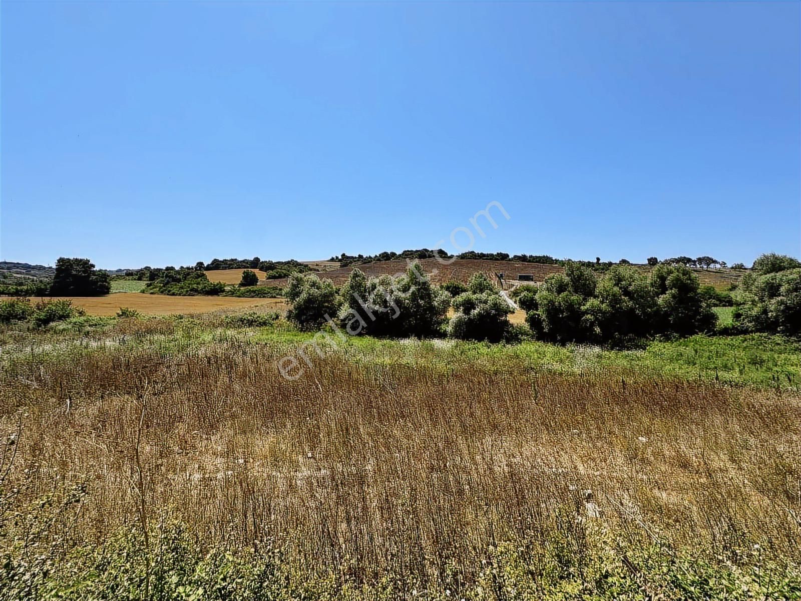 Acilll Satılık Tek Tapu - Görsel 20