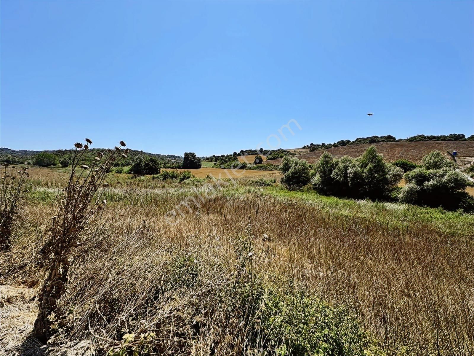 Acilll Satılık Tek Tapu - Görsel 5