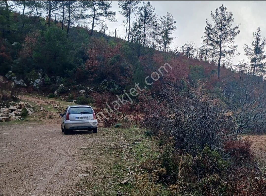 Milas Fesleğende Müstakil 2.555 M² Yatırımlık Tarla - Görsel 3