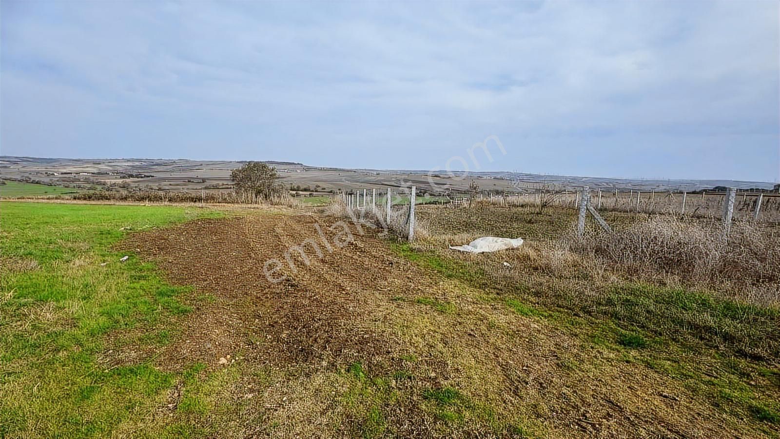 Çatalca İzzettin De Satılık 1012 M² Arsa - Görsel 2