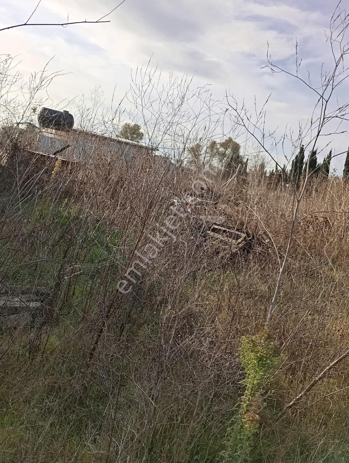 İstanbul / Çatalca / Kestanelik Satılık Hisseli Arsa 332 M² - Görsel 7