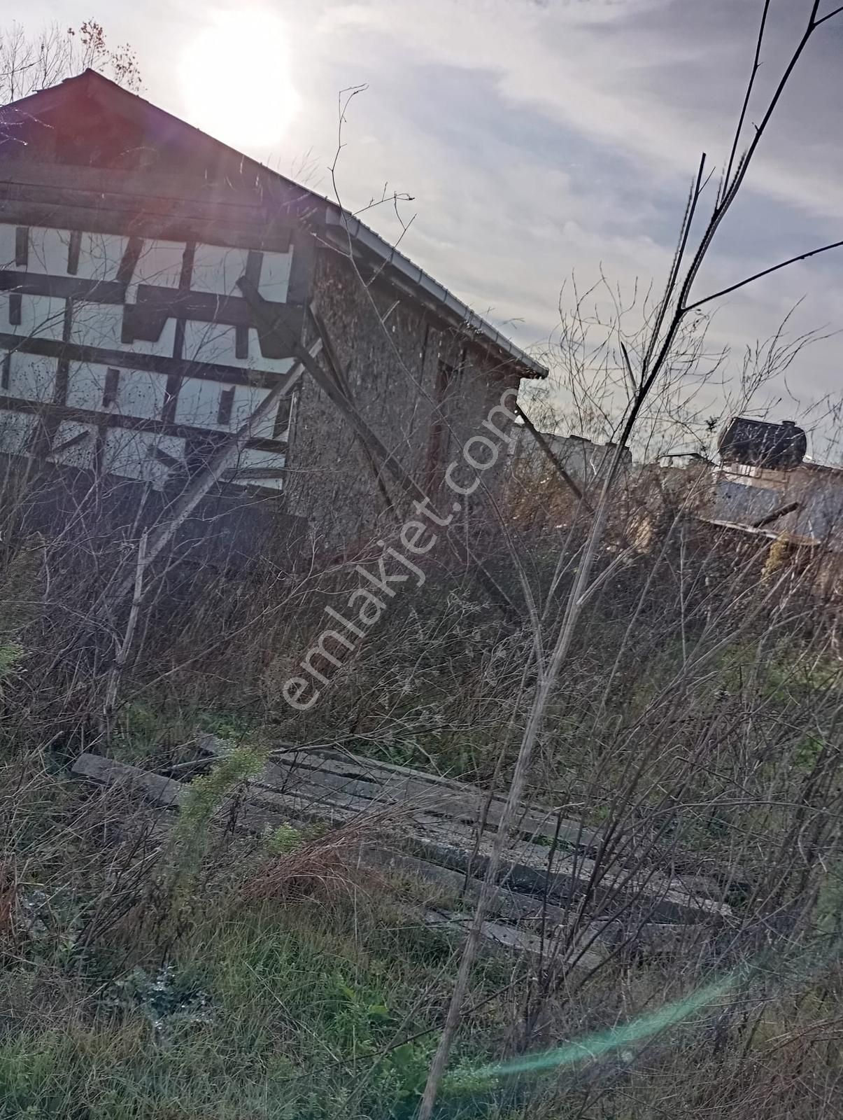 İstanbul / Çatalca / Kestanelik Satılık Hisseli Arsa 332 M² - Görsel 5