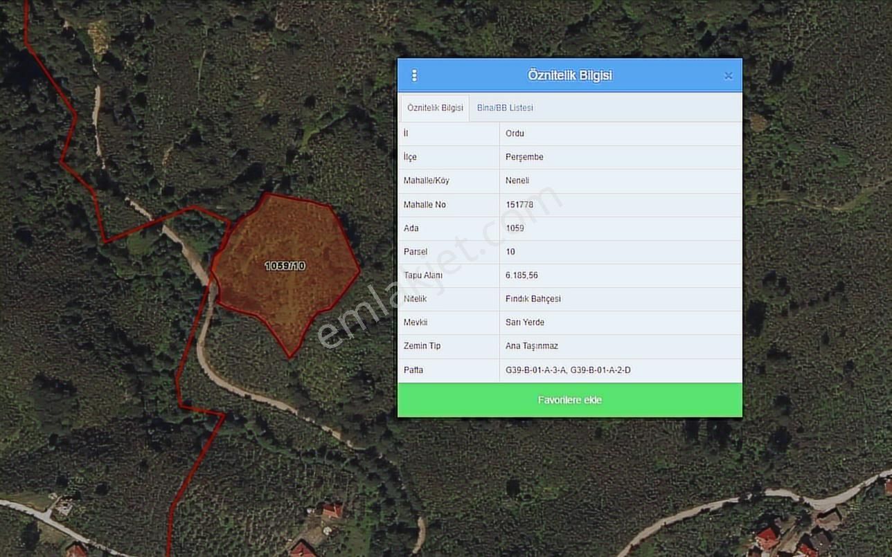 Doğa İçinde Ulaşımı Kolay Satılık 6185 M² Fındık Bahçesi - Görsel 5