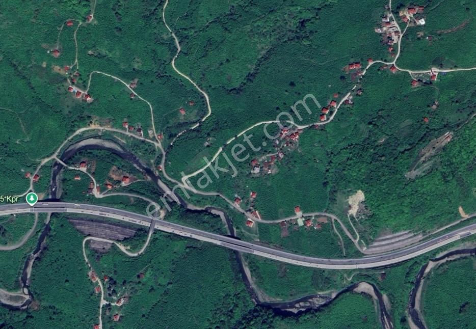 Doğa İçinde Ulaşımı Kolay Satılık 6185 M² Fındık Bahçesi