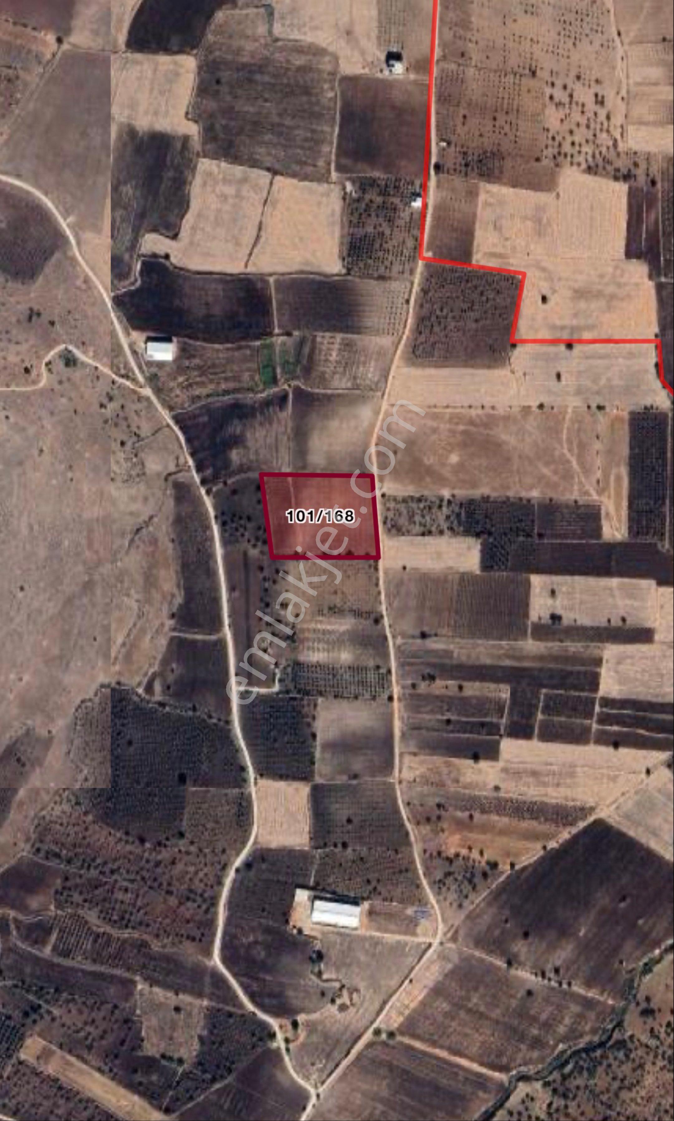 Beymahall Gayrimenkul'den K.hamurkesen'de Yatırımlık Arazi - Görsel 2