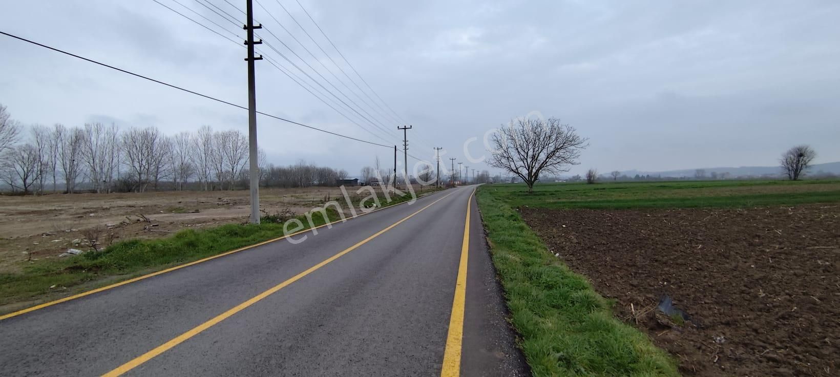 Sakarya Söğütlüde Kadastral Yola Cephelı Satılık Tarla - Görsel 5