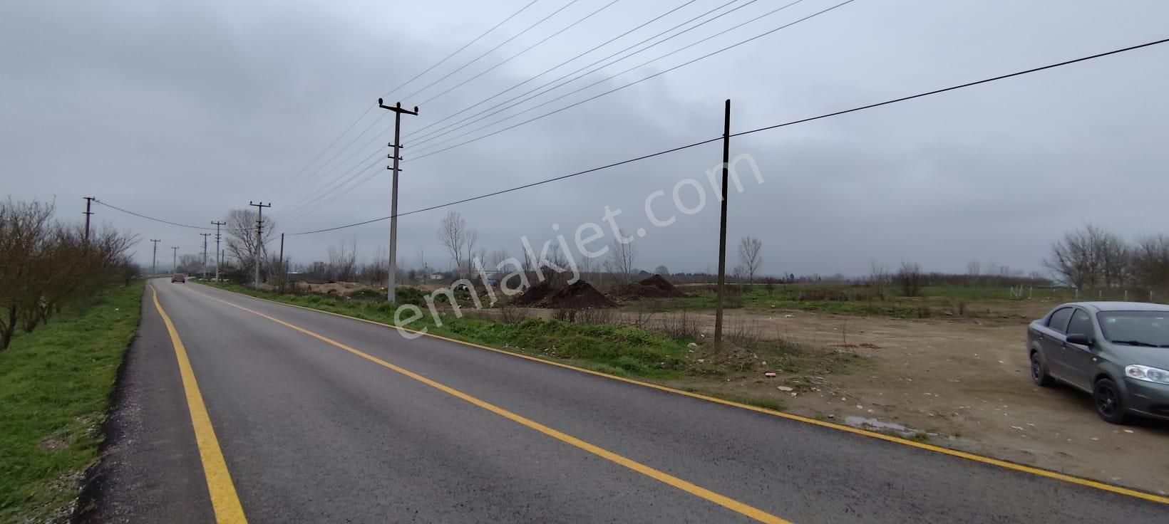 Sakarya Söğütlüde Kadastral Yola Cephelı Satılık Tarla - Görsel 3