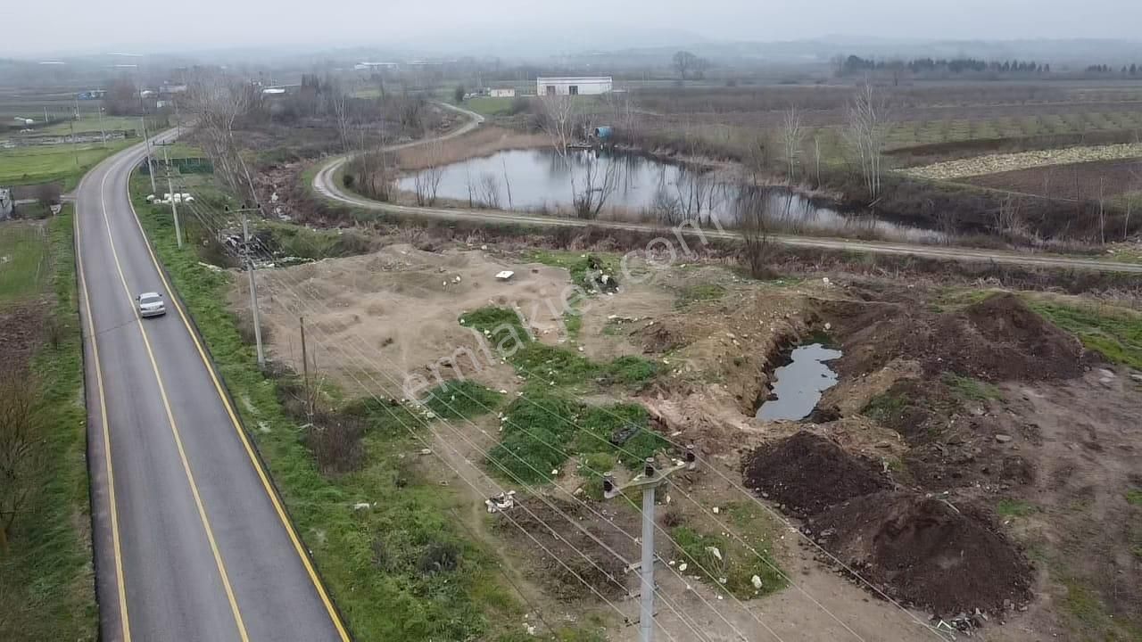 Sakarya Söğütlüde Kadastral Yola Cephelı Satılık Tarla