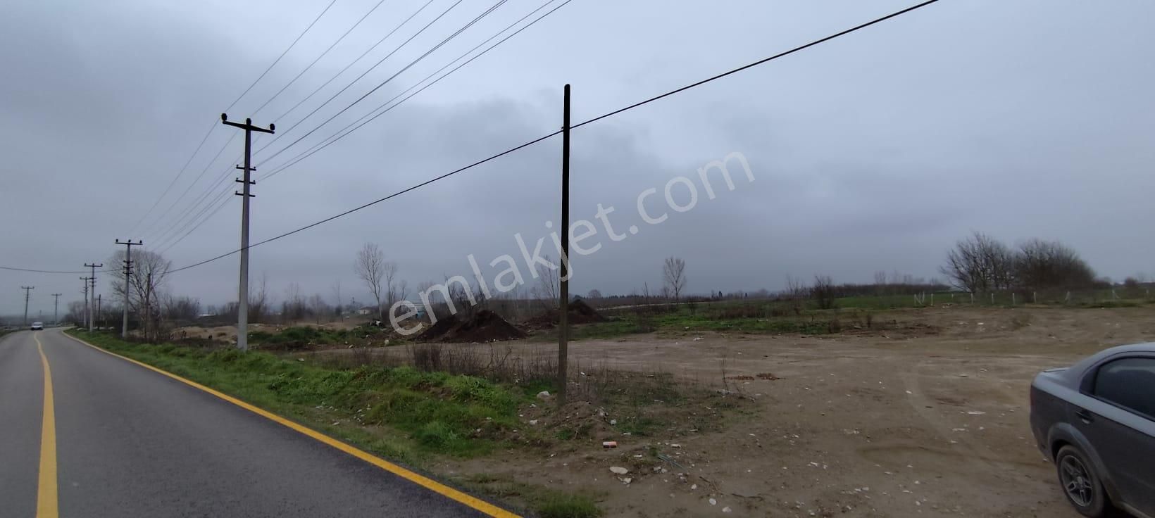 Sakarya Söğütlüde Kadastral Yola Cephelı Satılık Tarla - Görsel 8