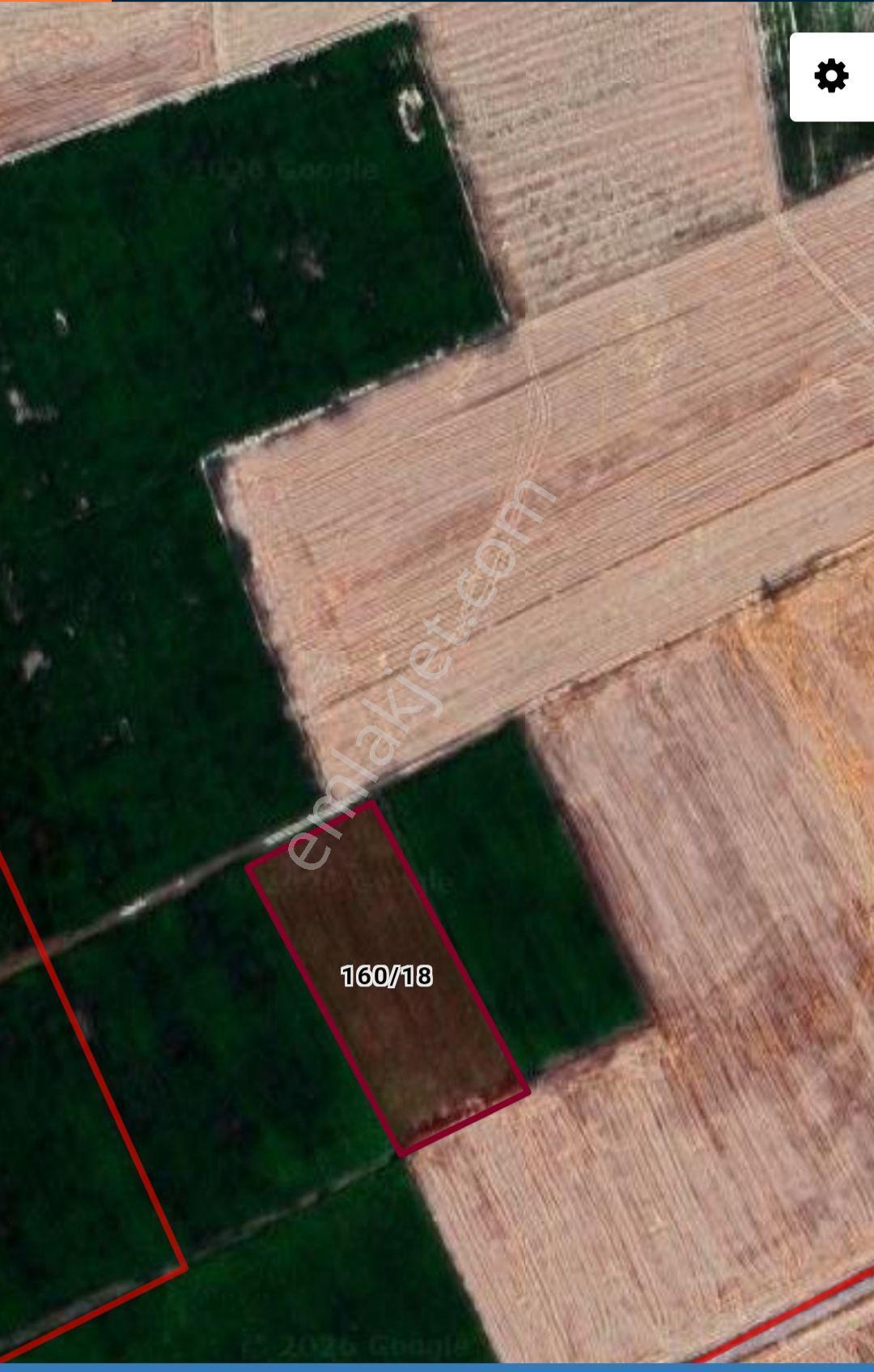 Malatya Yolu Cepheli Sulu Tarla