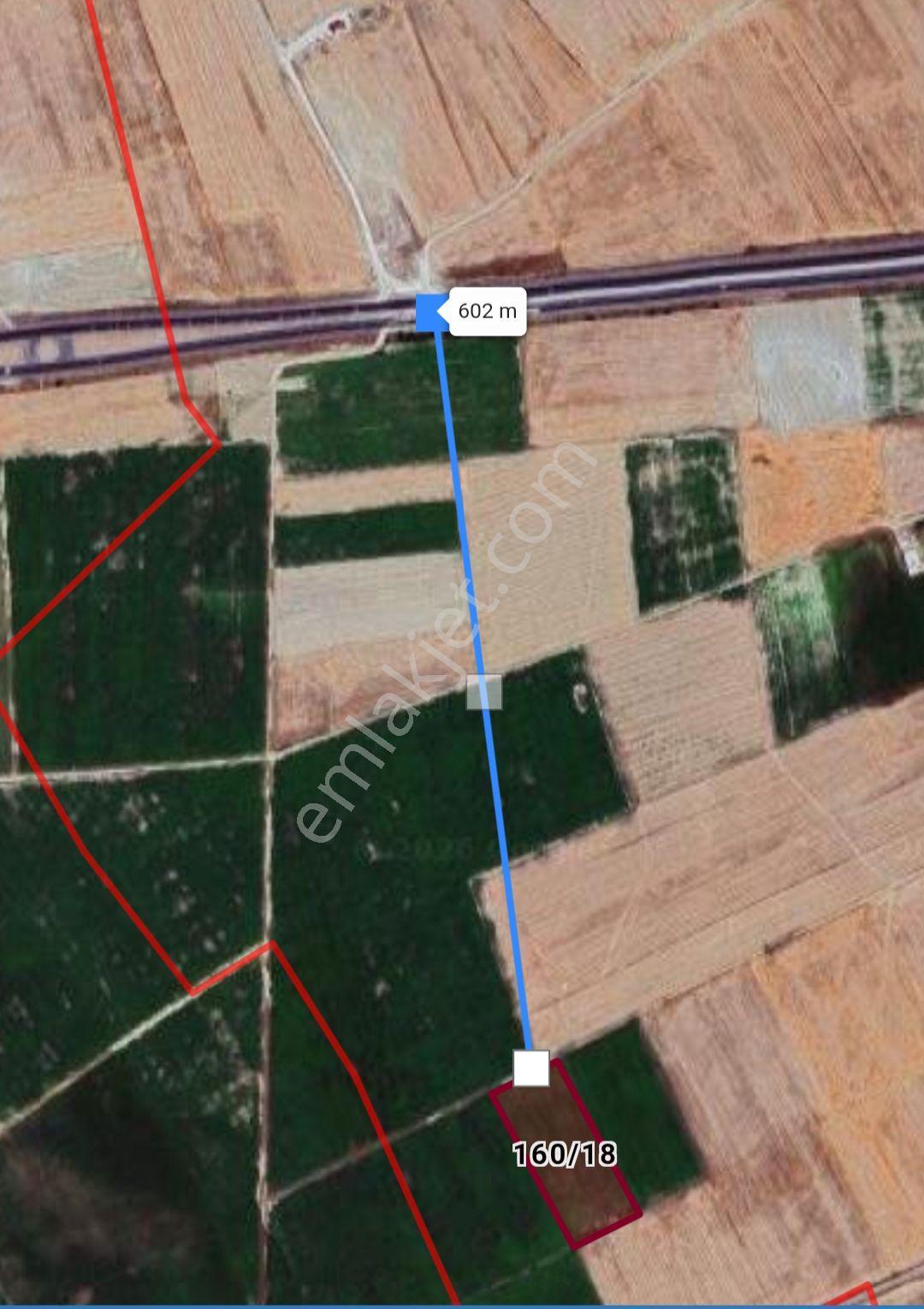 Malatya Yolu Cepheli Sulu Tarla - Görsel 3