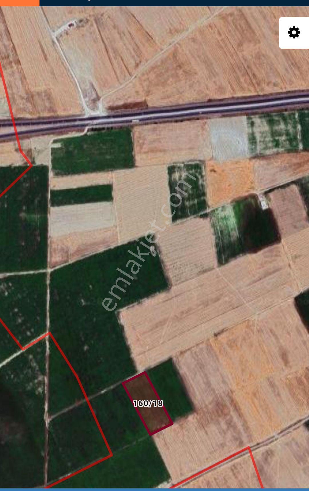Malatya Yolu Cepheli Sulu Tarla - Görsel 2
