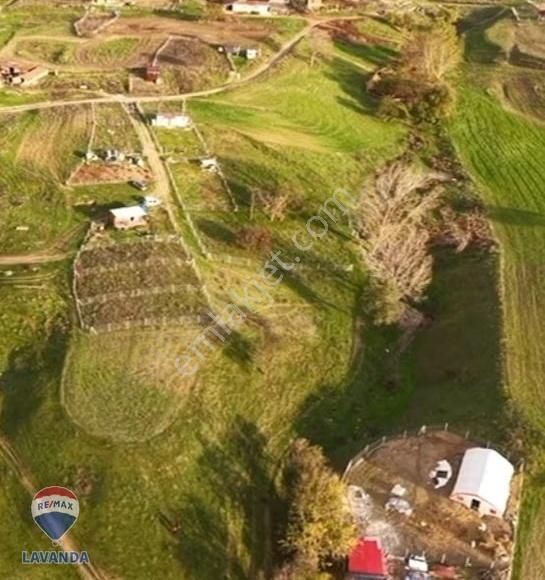Remax Lavanda Dan Silivri Değirmenköyde Satılık Hisseli Tarla - Görsel 2