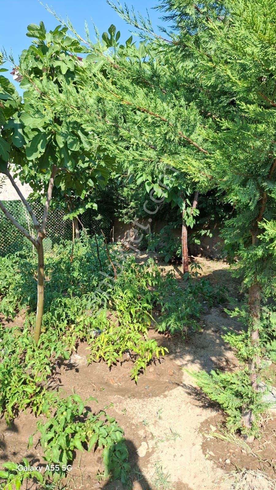Ankara Temelli Malıköyde Dubleks Villa - Görsel 12