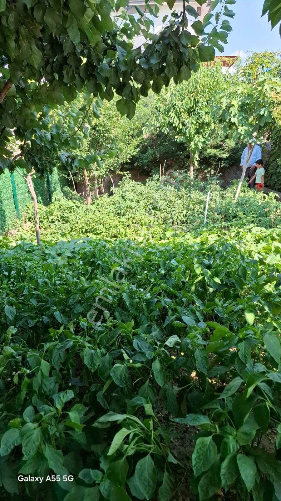 Ankara Temelli Malıköyde Dubleks Villa - Görsel 8