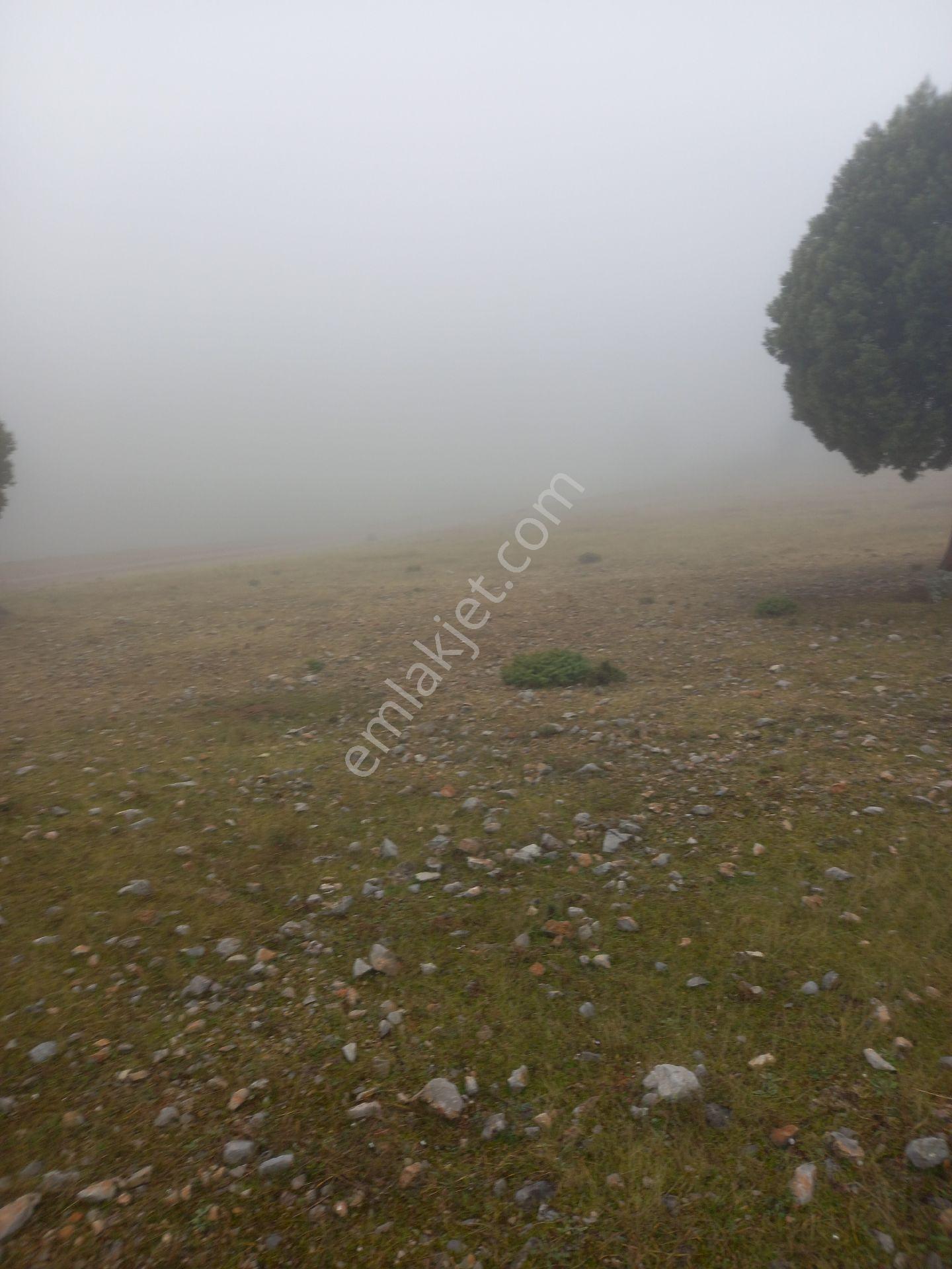 Kütahya 4600 M2 Tarla - Görsel 10