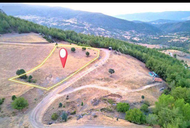 Kütahya 4600 M2 Tarla - Görsel 4