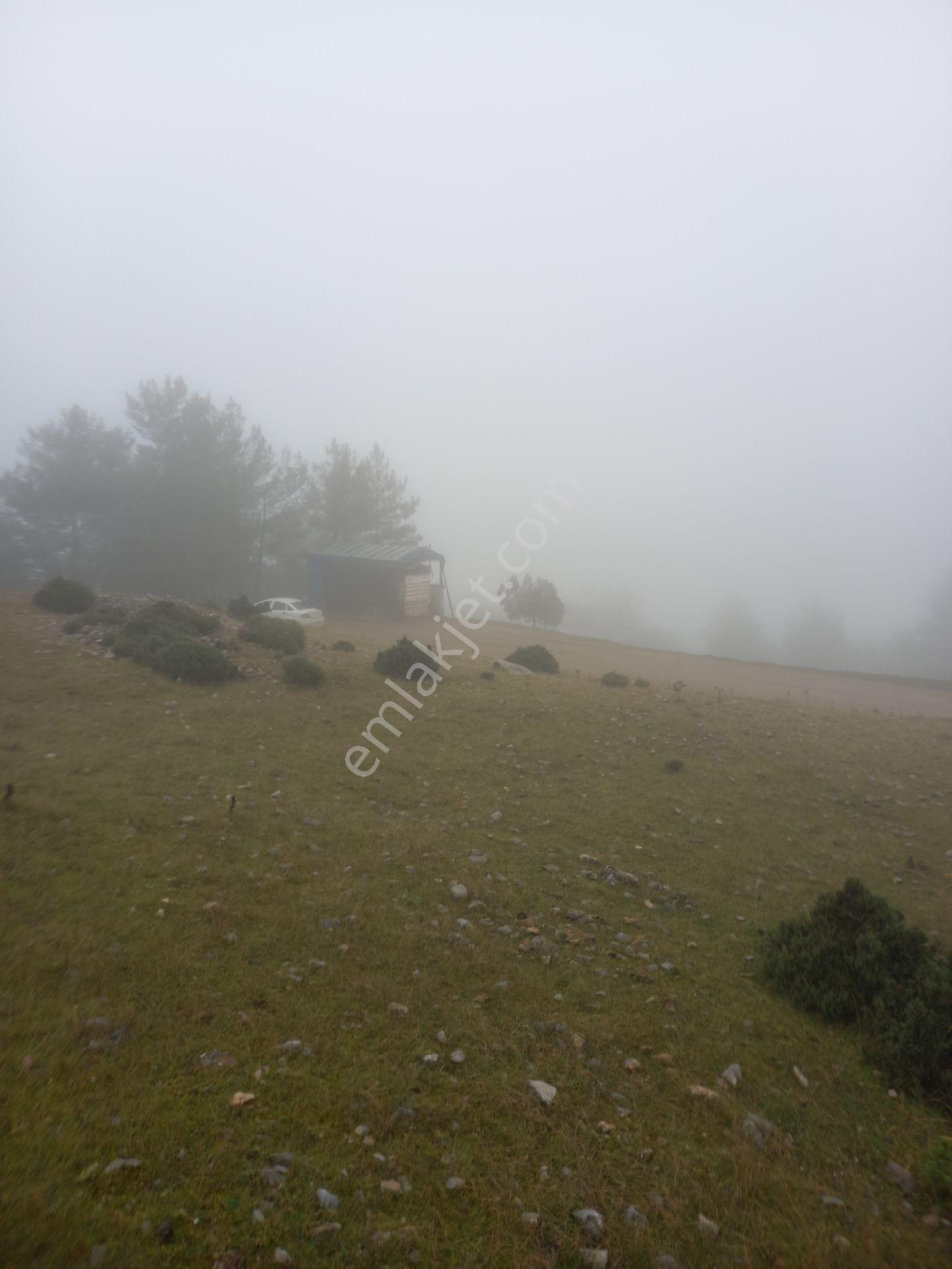 Kütahya 4600 M2 Tarla - Görsel 6
