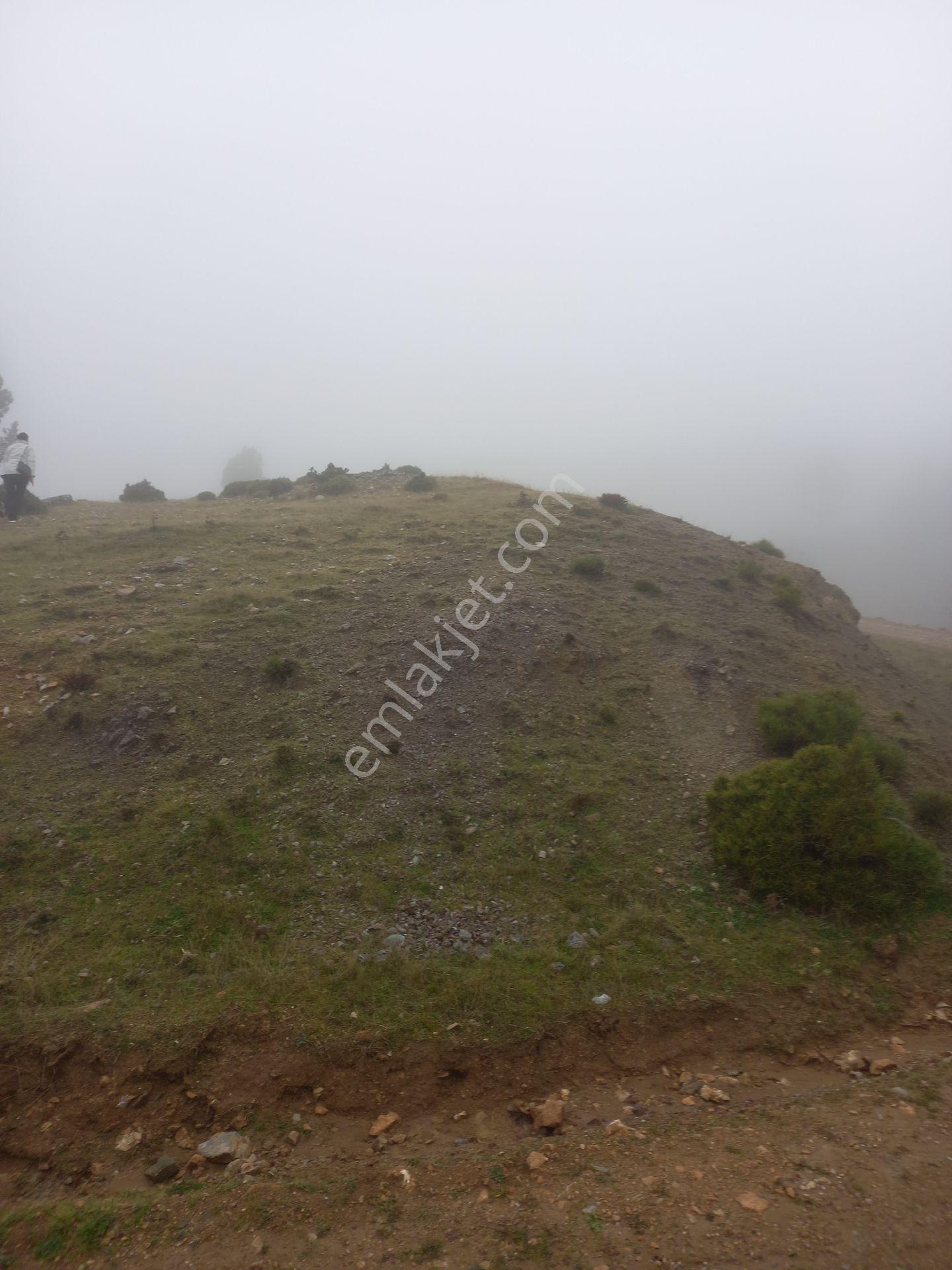 Kütahya 4600 M2 Tarla - Görsel 8