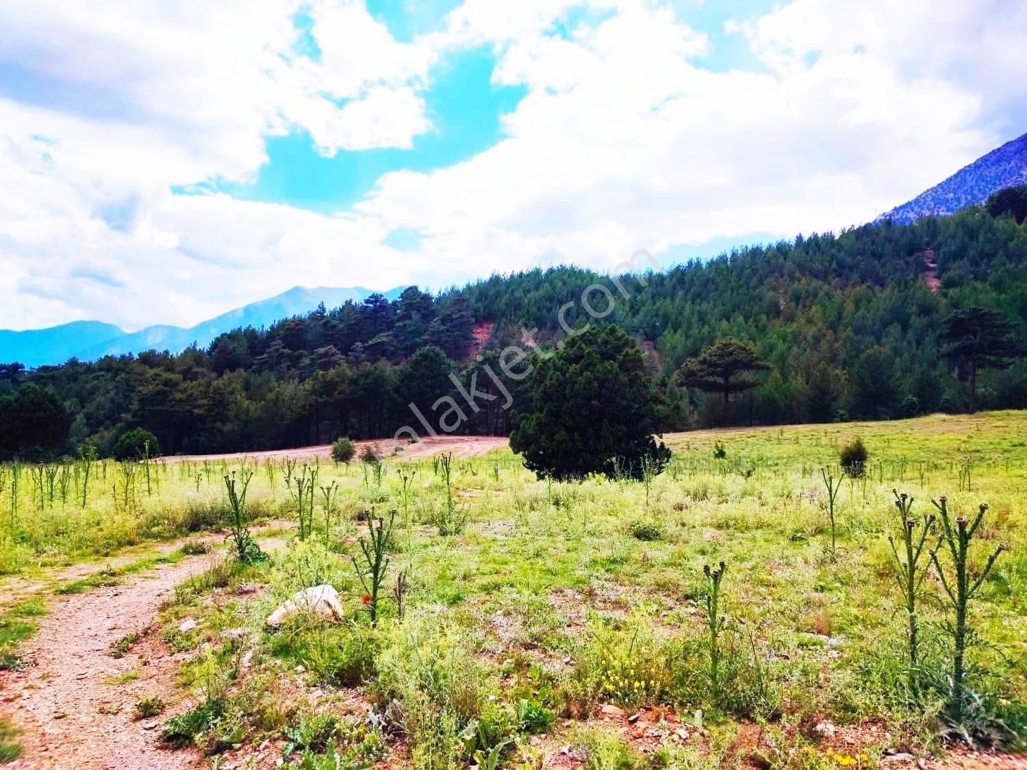 Kar Emlaktan Alpu Yaylasında 480 M2 Satılık Arsa - Görsel 34