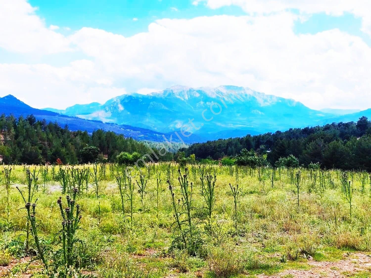 Kar Emlaktan Alpu Yaylasında 480 M2 Satılık Arsa - Görsel 9