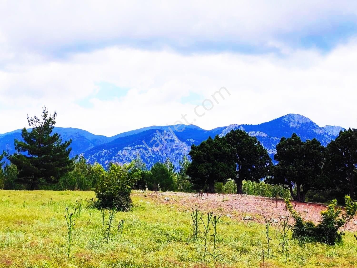 Kar Emlaktan Alpu Yaylasında 480 M2 Satılık Arsa - Görsel 33