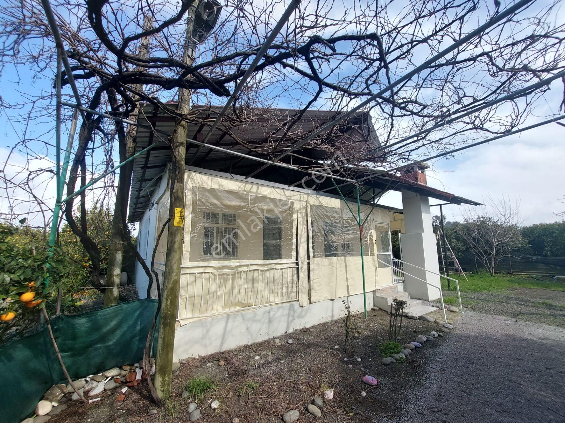 Muğla Ortaca Eskiköyde 100 M2, 2+1 Müstakil Sıfır Ev Kiralık