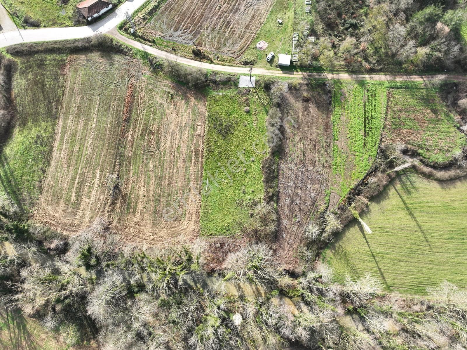 Çanakkale Lapseki Beypınar Köyündesatılık 1.372 M2 Arazi - Görsel 3