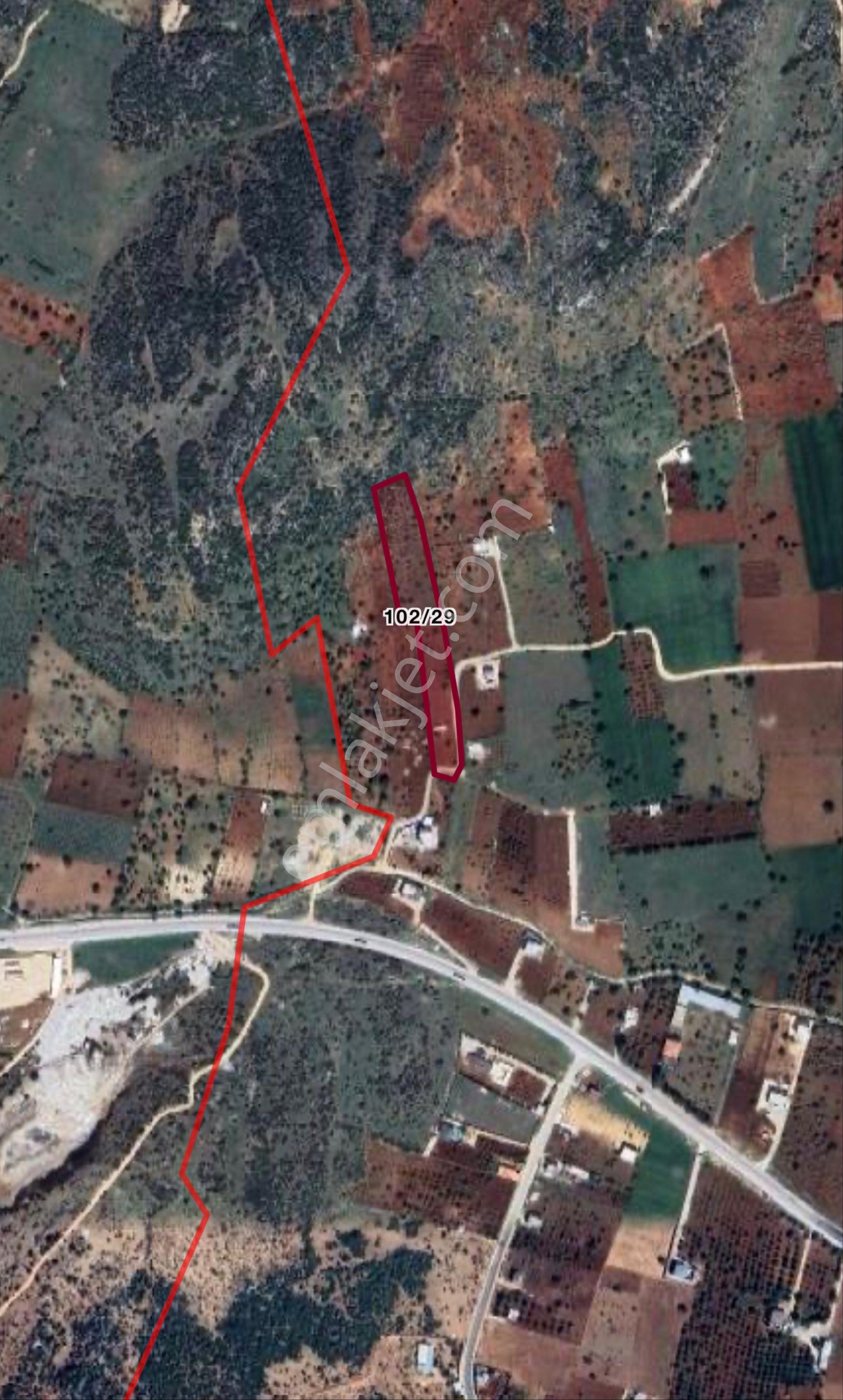 Beymahall Gayrimenkul'den Yeşilce'de Yatırımlık Arazi - Görsel 2