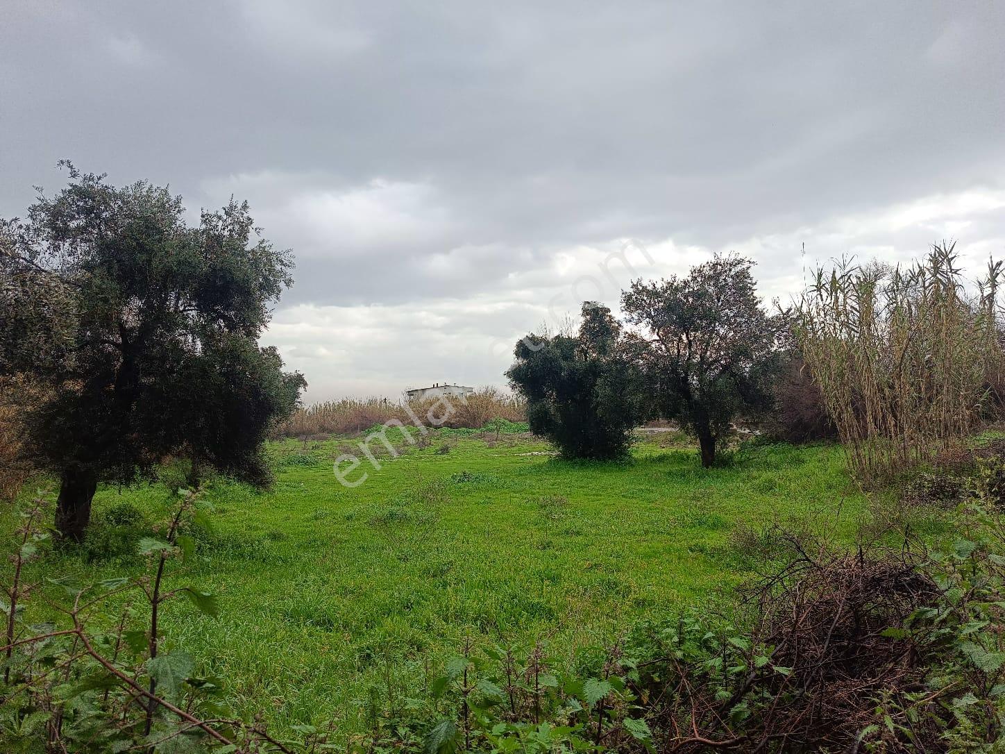 Acarlar Emlaktan Karaçay Mah. 2777 M2 Sanayi İmarlı Satılık Arsa