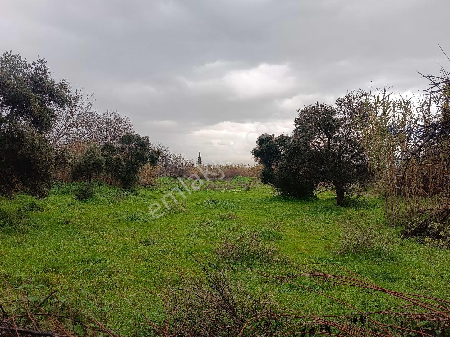 Acarlar Emlaktan Karaçay Mah. 2777 M2 Sanayi İmarlı Satılık Arsa - Görsel 15