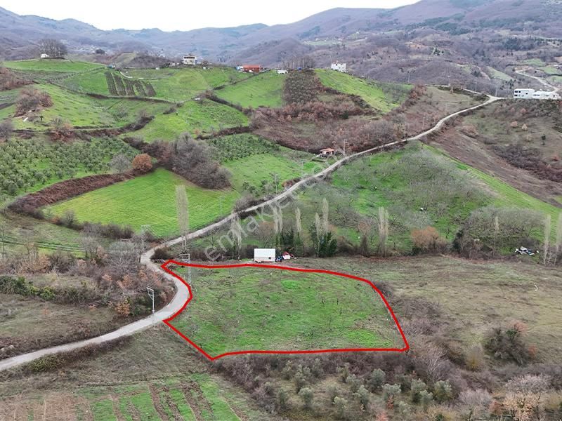 C21 Cius; Hamidiye Köyünde Yola Cephe 2839 M2 Su Ve Elektriği Olan Tarla - Görsel 2