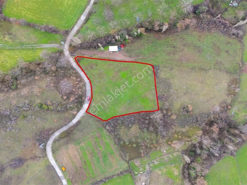 C21 Cius; Hamidiye Köyünde Yola Cephe 2839 M2 Su Ve Elektriği Olan Tarla